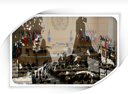 آیا سازمان جهانی کار شلاق زدن کارگران معدن آق دره را محکوم خواهد کرد؟